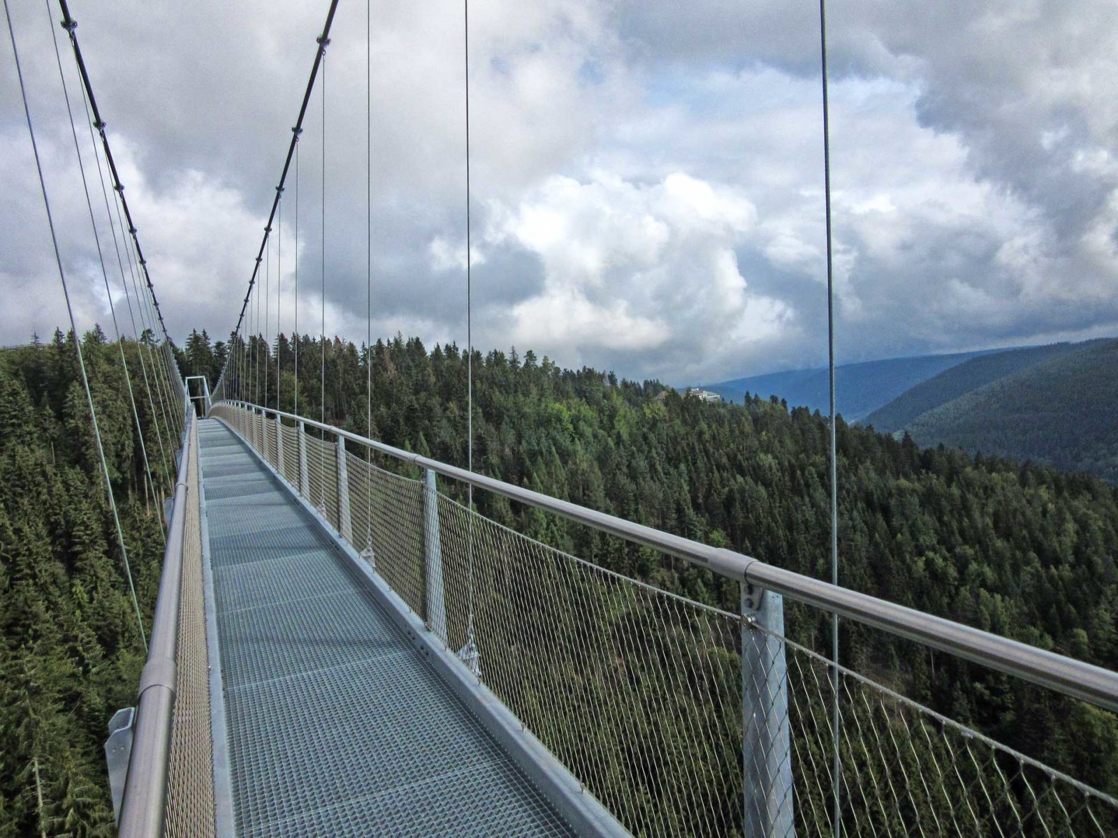 Die WildLine in Bad Wildbad • SchwarzwaldDELUXE